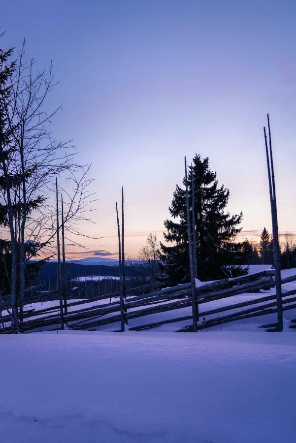 Asarna Skicenter Extérieur photo